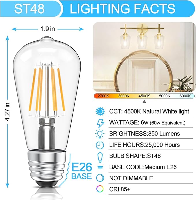 Ralbay ST48 Vintage LED Edison Bulbs 60 Watt Equivalent 6-Pack, Bright Natural White Light 4500K, E26 Antique LED Filament Bulbs, E26 Medium Base