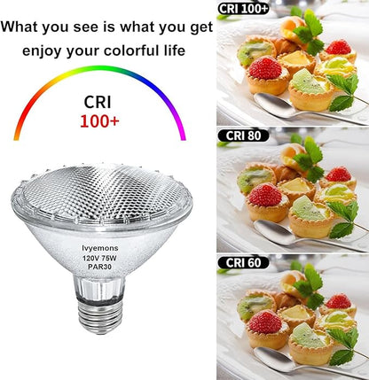 PAR30 Short Neck Halogen 75W - 2 Pack PAR30 Flood Light Bulbs E26 Base, PAR30 Dimmable 2800K Warm White, Long Lasting Halogen Bulb for Accent Lighting, Tracking, Recessed Light