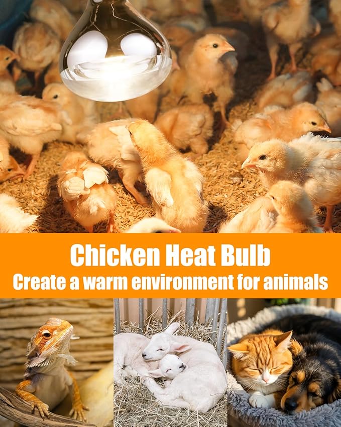 250W Heat Lamp Bulbs, 8000 Hours Rated, R40 Bathroom Shower Incandescent Light Bulb, Infrared Heating for Chickens, Reptiles, Pets, Food, E26 Base, 1 Pack