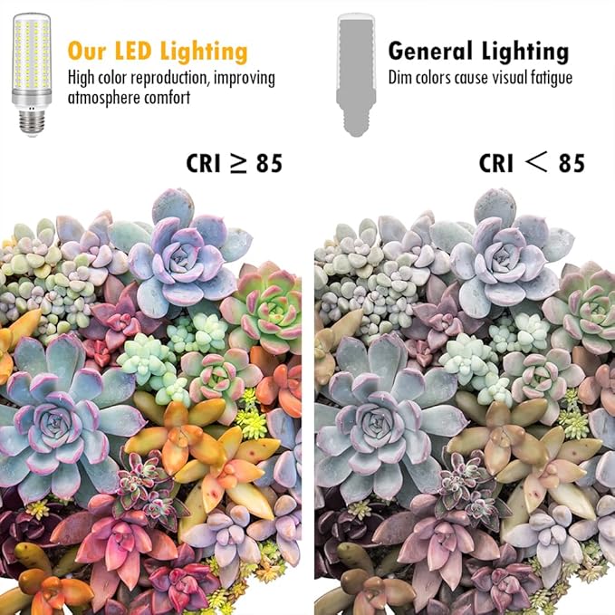 E26 LED Bulbs, 30W LED Light Bulbs Equivalent 250W, 6000K Daylight White, Not Dimmable,AC 110-220V, E26 Light Bulbs (2 Pack)