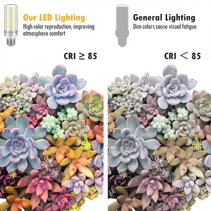 E26 LED Bulbs, 30W LED Light Bulbs Equivalent 250W, 6000K Daylight White, Not Dimmable,AC 110-220V, E26 Light Bulbs (2 Pack)