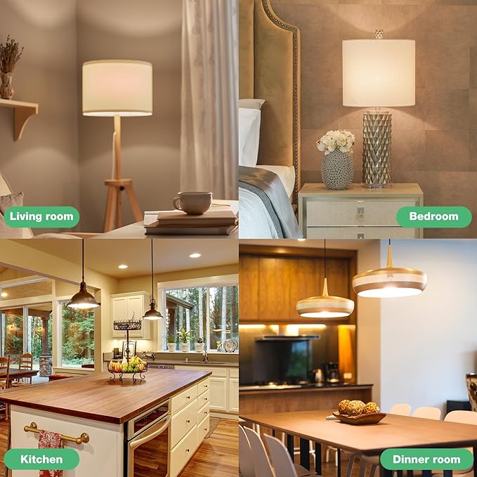 24 Pack LED Light Bulbs 60 Watt Equivalent, A19 5000K Daylight, 800 Lumens, E26 Base, Non-Dimmable, 8 Watt Energy Efficient LED Bulbs for Home Lighting