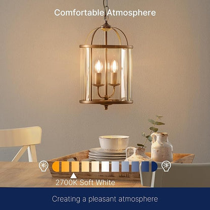 FLSNT LED Candelabra Light Bulbs E26 Base, 60 Watts Equivalent Dimmable LED Chandelier Light Bulbs, 2700K Soft White, 24 Pack UL,CA65 Listed.
