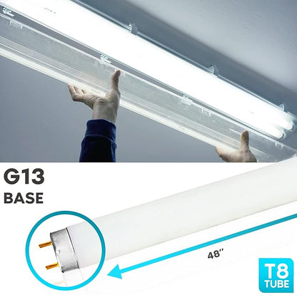 LUXRITE F32T8/865 32W 48 Inch T8 Fluorescent Tube Light Bulb, 6500K Daylight, 2800 Lumens, G13 Medium Bi-Pin Base, LR20735, 10-Pack