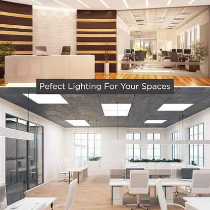 GoodBulb 32-Watt 48-Inch T8 Fluorescent Light Bulb 5700K Daylight White Color Medium Bi-Pin Base 3100 Lumens 88 CRI 24000 Life Hours Instant/Programmed Start Pack of 30