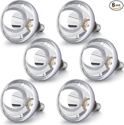 VIHOSE 6 Pack 250 Watt Heat Lamp 120v R40 Heat Lamp Bulbs Glass Incandescent Light Bulbs Incandescent Heating Lightbulbs for Reptiles Chicks Food Puppies Bathroom, Use E26 Base (Silver)