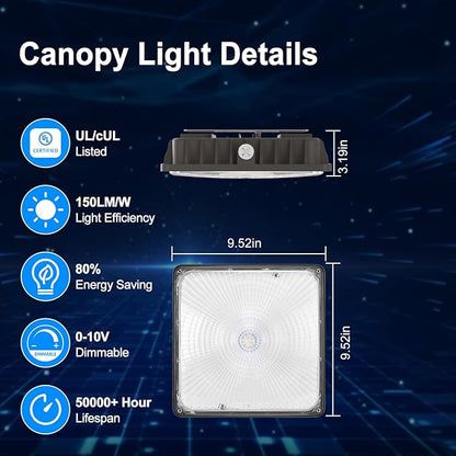 40W LED Canopy Light, 6000LM LED Canopy Lights Outdoor, IP65 Waterproof Canopy Light for Gas Station Industrial Lighting Garage Barn Shop Carport Warehouse Building Entrance UL Listed, 4 Pack