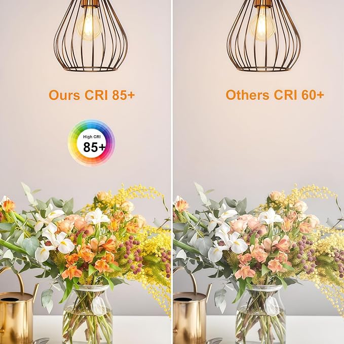 Vinaco A19 Dimmable LED Bulb 2700K Warm White, 6 PCS A19 Edison Bulb, 8W Equal 60W Clear Light Bulbs, Long Lasting 806LM Edison Bulbs E26 LED CRI85+ for Living Room, Chandelier