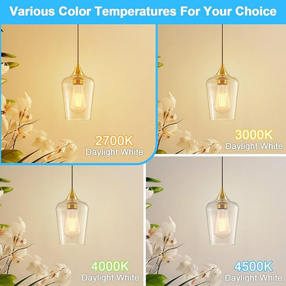 Ralbay ST48 Vintage LED Edison Bulbs 10 Pack, 60W Equivalent, Warm White 2700K, Clear Glass E26 Medium Base