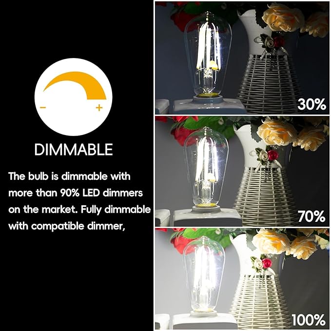 Jensense LED Edison Light Bulbs 8 Watt Dimmable 5000K Daylight White, E26 60 Watt Equivalent, Vintage Bulbs 800lm CRI 90 Clear Glass 48 Pack