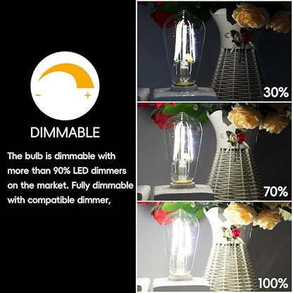 Jensense LED Edison Light Bulbs 8 Watt Dimmable 5000K Daylight White, E26 60 Watt Equivalent, Vintage Bulbs 800lm CRI 90 Clear Glass 32 Pack