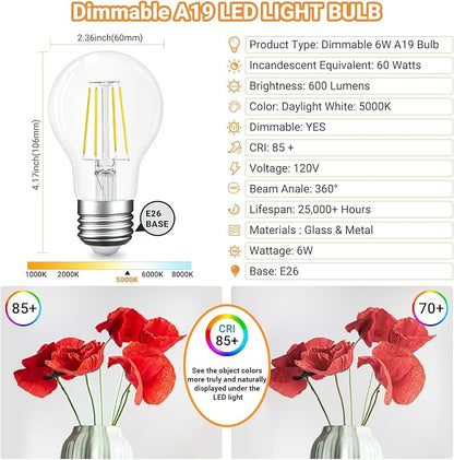 A19 E26 Base Dimmable Edison LED Bulb, 6W(60 Watt Equivalent) Stepless Dimming Light Bulbs 600lm, 5000K Daylight White, Vintage Clear Glass LED Filament Bulb for Home, Wall Sconce, Chandelier, 6 Pack
