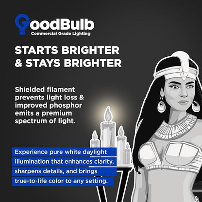 GoodBulb 32-Watt 48 Inch T8 Fluorescent Light Bulb 5000K Daylight White Light Color Medium Bi-Pin Base 3050 Lumens 86 CRI 24000 Life Hours Instant/Programmed Start (Pack of 25 Bulbs)
