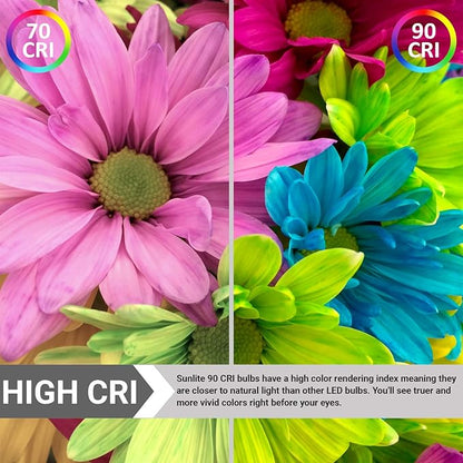 Sunlite 40333 LED PAR38 Long Neck Spotlight Bulb, 15 Watt (100W Halogen EQ), 1200 Lm, 40° Flood Beam, Medium E26 Base, 90 CRI, Waterproof, Dimmable, T20/T24/CEC & UL Listed, 5000K Daylight, 6 Count