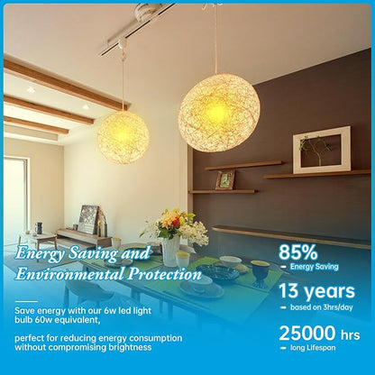 Frosted Globe Light Bulbs 60 Watt Equivalent, 6W No Dimmable LED Globe Light Bulbs, 2700k Soft White, E26 Standard Base G30/G95 Vintage LED Edison Bulb, 1 Pack