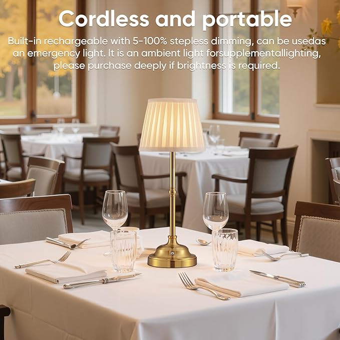YIEONSHION Portables Cordless Table Lamp, Fabric Shade Desk Lamp, Rechargeable Battery Powered Lighting, Dimmable Light for Dining Room, Bedroom, Bedside, Bar, Night Light, Camping, Balcony