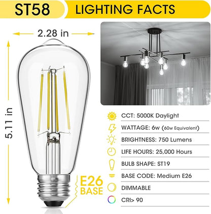 Vintage LED Edison Bulb Dimmable 60W Equivalent 750 Lumens, 6W Edison Light Bulbs Daylight White 5000K, Antique ST58 LED Filament Bulb E26 Base, CRI 90+, Clear Glass, Pack of 16