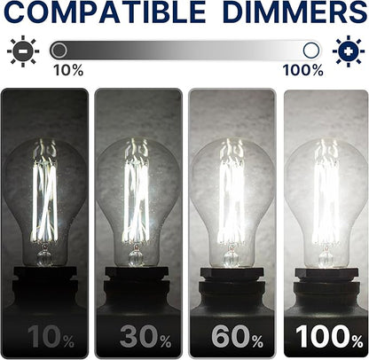 FLSNT 100W Equivalent Dimmable A21 LED Light Bulbs, Efficient 12W, 1600Lumens, 5000K Daylight, CRI90, E26 Medium Base, Clear Glass, 4 Pack