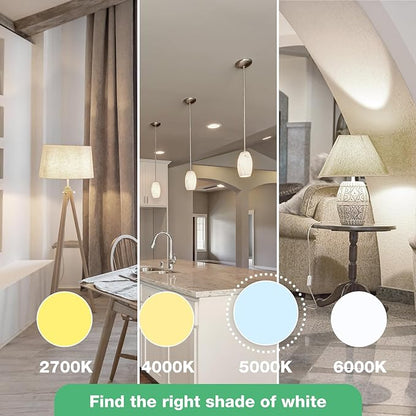 60 Pack LED Bulbs, A19 60W Equivalent, 800 Lumens, 5000K Daylight, 8W Non-Dimmable Light Bulbs for Home & Office, 15000hours