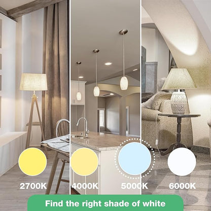 48 Pack LED Bulbs, A19 60W Equivalent, 800 Lumens, 5000K Daylight, 8W Non-Dimmable Light Bulbs for Home & Office, 15000hours