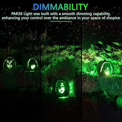 PAR38 Flood Lights Outdoor,Dimmable LED Flood Light Bulbs,20W(Equivalent to 200W),E26 Base,Outdoor Porch,Holiday Lighting,LED Flood Light Bulb for Halloween,Christmas,2 Pack Green