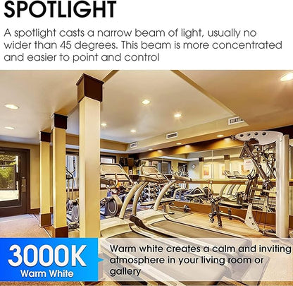 Energetic PAR38 Outdoor LED Flood Light Bulb, 3000K Warm White, 90 Watt Equivalent, Wet Rated, 900LM, E26 Base, Non-Dimmable,12 Pack