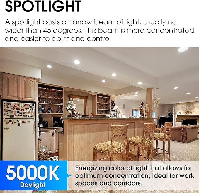 Energetic LED PAR38 Outdoor Flood Light Bulb Home Residential Patio Driveway Light, PAR38 LED Bulb, 5000K Daylight Dimmable, 100W Equivalent 12.5W, Wet-Rated, 1050 Lumen, E26 Base, ETL, 6 Pack
