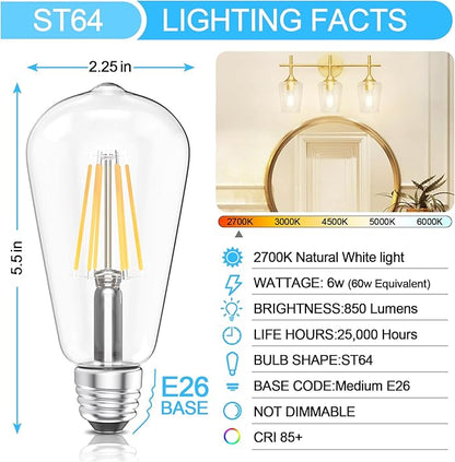 Ralbay ST64 Vintage LED Edison Bulbs 10 Pack, 60W Equivalent, Warm White 2700K, Clear Glass E26 Medium Base