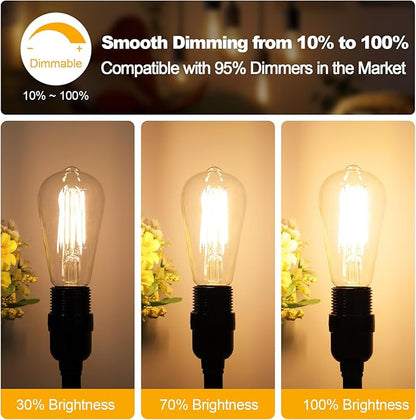 Vintage LED Edison Bulbs 60 Watt Equivalent Dimmable 7W ST58 LED Filament Light Bulbs Soft White 2700K Antique Style Lighting High Brightness 800LM E26 Medium Base Clear Glass for Home Office, 12 Pack