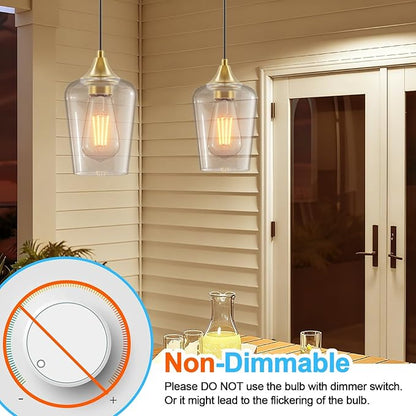 Ralbay ST48 Vintage LED Edison Bulbs 6 Pack, 60W Equivalent, Warm White 2700K, Clear Glass E26 Medium Base