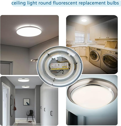 Circular Light Bulbs Set FC12T9-DL and FC8T9-DL Daylight Fluorescent Lamp,Circline 6500K 12inch T9 32Watts and 8inch 22Watts Replacement for Ceiling Light,12,000hrs Long Lifespans