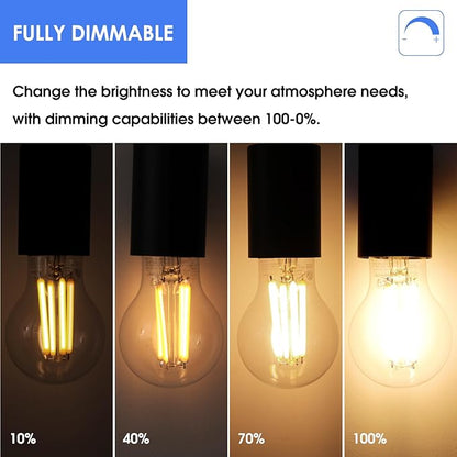 Energetic Dimmable A19 LED Edison Light Bulb, 12W Equivalent 100W, 1600LM High Brightness, 3000K Warm White, Clear Antique LED Filament Bulb for Home, Bathroom, E26 Standard Base, 4-Pack
