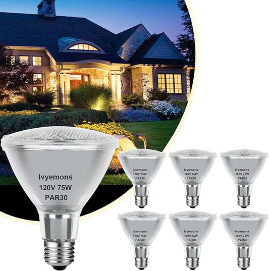 Halogen PAR30 Long Neck 75W 120V 800LM, 6 Pack High Output Halogen PAR30 Dimmable 2800K Warm White with E26 Base, Long Lifespan Long Neck Flood Light Bulb with CRI100 for Recessed Lighting