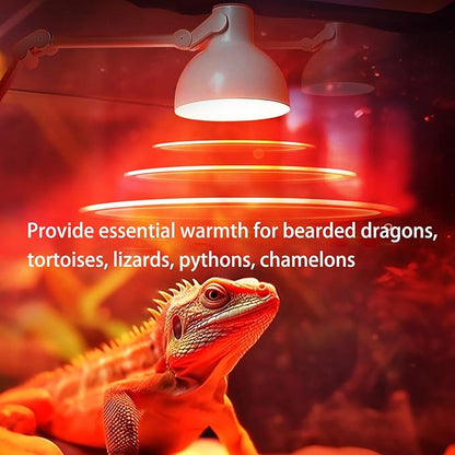 Vinaco G9 Heat Lamp Bulbs for Reptile, Dimmable Night Red UVA UVB Reptile Heat Lamp G9, 2 Pin Base Mini G 9 Halogen Bulbs 50W 120V, Infrared Heat Lamp for Bearded Dragon Gecko Turtle Lizard