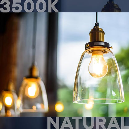LUXRITE Vintage A19 LED Light Bulbs 60W Equivalent, 3500K Natural White Dimmable, 800 Lumens, Standard LED Edison Bulb 8W, UL Listed, E26 Base (4 Pack)