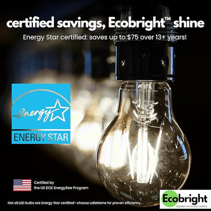EcoBright 4PK Dimmable A19 LED Filament Bulb 40W Equivalent 5W E26 Base 450 Lumens CRI90 Flicker Free Clear Glass Energy Star Title 20 Daylight 5000K for Lamps Ceiling Fixtures and Indoor Use