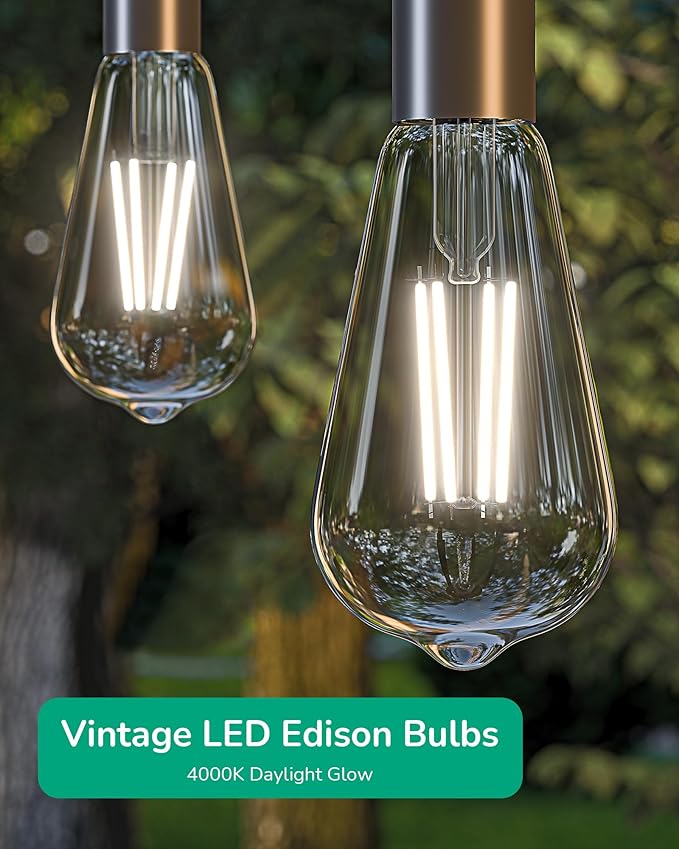 EDISHINE 6 Pack Vintage LED Edison Bulbs 8W Equivalent 60W, ST64 Dimmable Led Light Bulbs, 700LM 4000K Cool White Light E26 Base, Decorative Antique LED Filament Bulbs for Home and Commercial