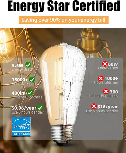 Lumiverse Dimmable Vintage LED Edison Bulbs, 60W Equivalent Dimmable Light Bulbs, 2200K Warm White, Antique Style ST58 LED Filament Bulbs, E26 Base LED Bulb 5.5W, Clear Glass, Pack of 60