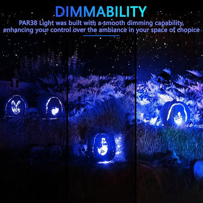 PAR38 Flood Lights Outdoor,Dimmable LED Flood Light Bulbs,20W(Equivalent to 200W),E26 Base,Outdoor Porch,Holiday Lighting,LED Flood Light Bulb for Halloween,Christmas,4 Pack Blue