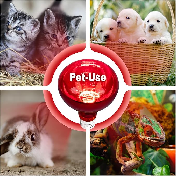 4 Pack 250W Heat Lamp Bulbs for Chicks, R40 Red Heat Lamp for Chickens, Infrared Heating Bulbs for Brooder Heater, I Incandescent Heat Bulb for Pet, Bathroom, Food