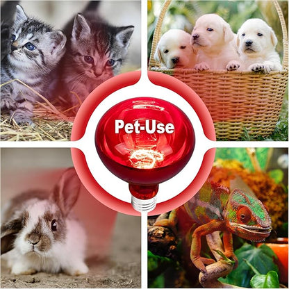 4 Pack 250W Heat Lamp Bulbs for Chicks, R40 Red Heat Lamp for Chickens, Infrared Heating Bulbs for Brooder Heater, I Incandescent Heat Bulb for Pet, Bathroom, Food