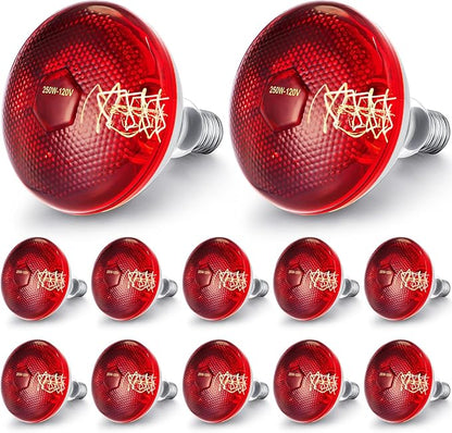 VIHOSE 12 Pack Infrared Heat Lamp for Chickens 250watt 120v Thickened Red Heat Lamp Bulbs for Food Service, Reptile, Pet, Bathroom, Light Therapy Use E26 Base