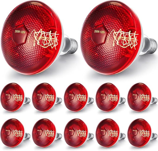 VIHOSE 12 Pack Infrared Heat Lamp for Chickens 250watt 120v Thickened Red Heat Lamp Bulbs for Food Service, Reptile, Pet, Bathroom, Light Therapy Use E26 Base