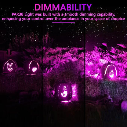 PAR38 Flood Lights Outdoor,Dimmable LED Flood Light Bulbs,20W(Equivalent to 200W),E26 Base,Outdoor Porch,Holiday Lighting,LED Flood Light Bulb for Halloween,Christmas,4 Pack Pink