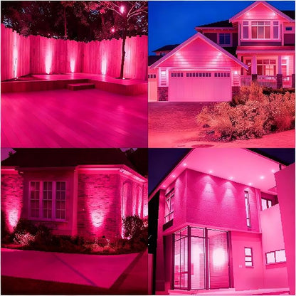 MR16 LED Bulb 50W Halogen Equivalent, (Dimmable MR16 LED Bulb Pink 6-Pack)