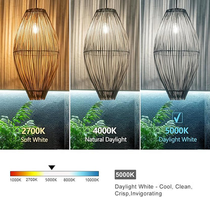 6 PCS ST58 (ST19) LED Edison Bulbs, Dimmable Vintage Antique LED Filament Light Bulbs, 6W Equivalent 60 Watt, Daylight 5000K, 600 Lumens, E26 Base, Clear Plastic