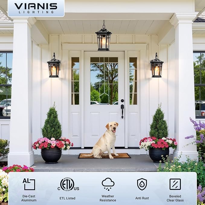 VIANIS Large Outdoor Light Fixture, Black Modern Dusk to Dawn Outside Lighting with Transparent Tempered Glass, Aluminum Waterproof and Anti-Rust Exterior Lighting Fixtures for Porch, Garden, Doorway