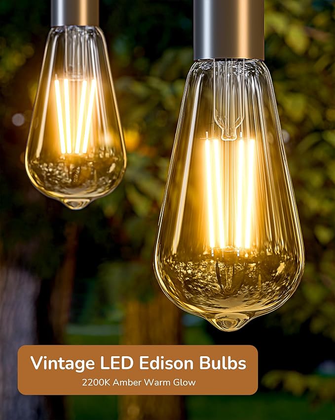 EDISHINE 6 Pack Vintage LED Edison Bulbs 8W Equivalent 60W, ST64 Dimmable Led Light Bulbs, 700LM 2200K Amber Warm Light E26, Decorative Antique LED Filament Bulbs for Home and Commercial, UL Listed
