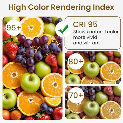 LED Light Bulb G25/G80 Dim-to-Warm 2000-2800K E26 Matt White Porcelain CRI 95 Excellent Color Accuracy 6W=60W 500LM (4-Pack)