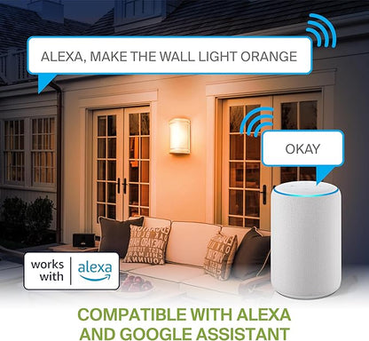 ASD 10 Inch Smart RGBW LED Outdoor & Indoor Wall Mount Light Fixture - Nickel RGB Wall Sconce Exterior Lighting - 120-277V 15W 2700-6500K Dimmable, Remote Control, Alexa - Front Door, Patio ETL 2 Pack